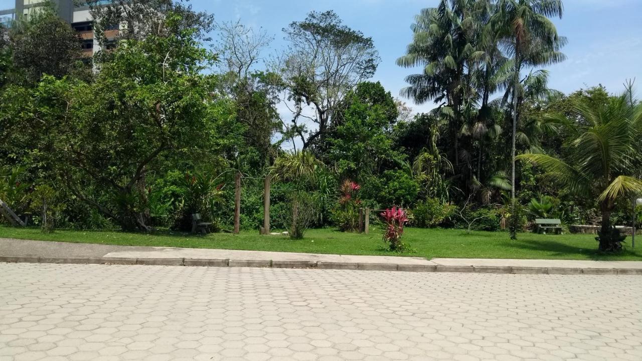 Luz Da Lua